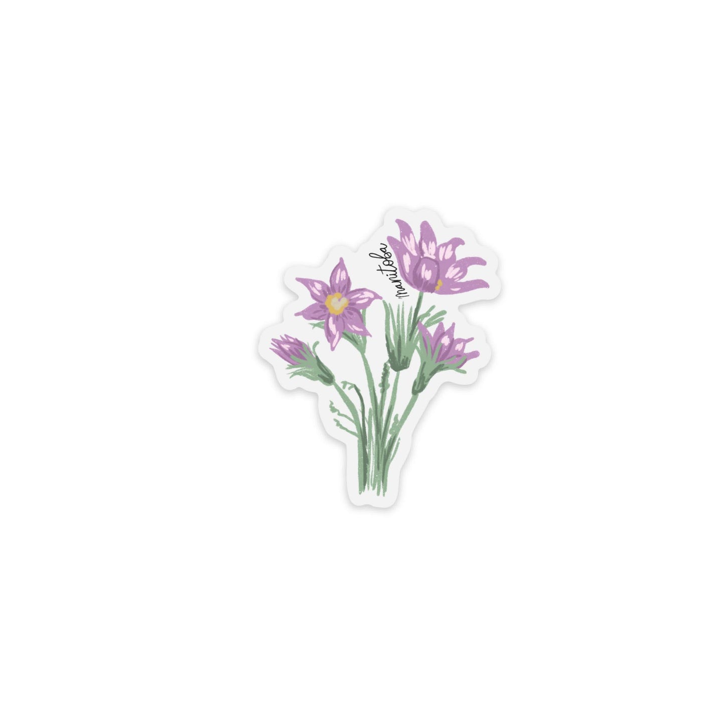 Manitoba Prairie Crocus Clear Matte Sticker